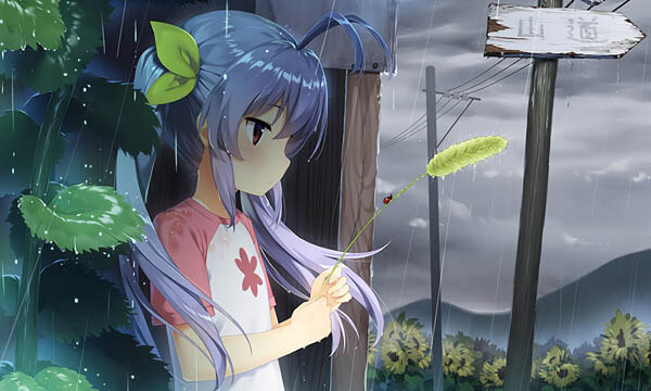 Linux面板安装脚本